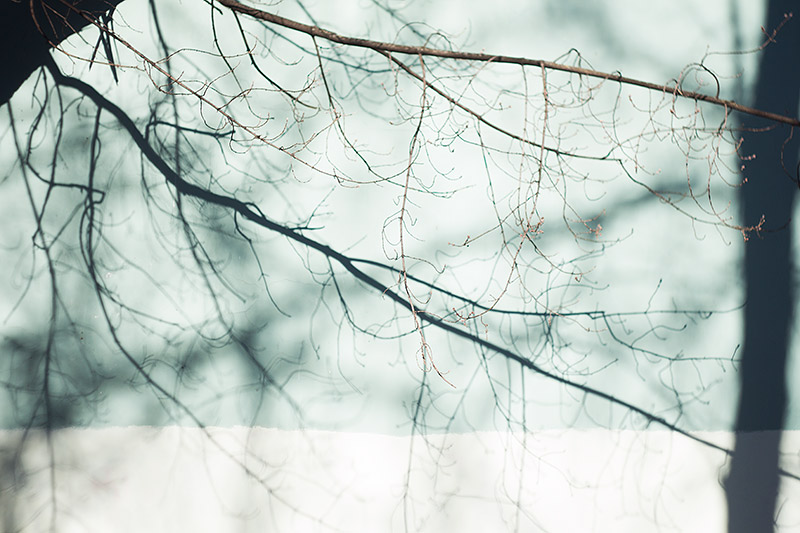 Доспехи для интроверта