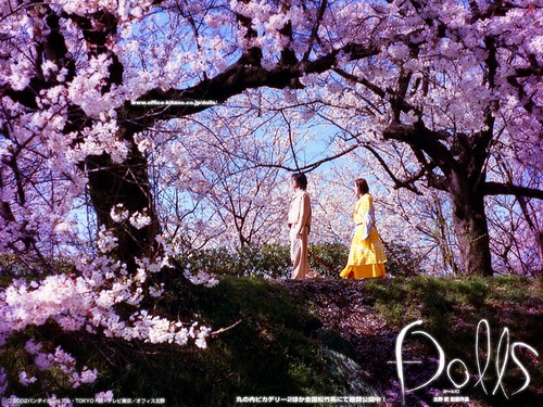 Чего хотят читатели модных блогов — и почему я никогда не буду&nbsp;популярной